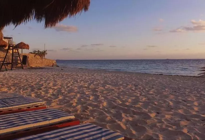Fotos del hotel Dos Playas Faranda Cancún:  23