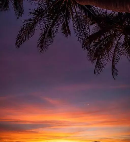 Fotos del hotel El Cid El Moro Beach:  11