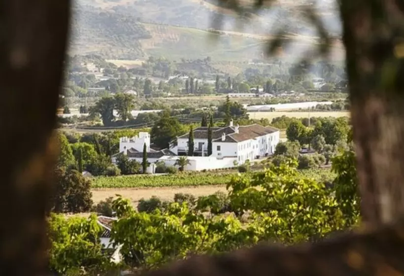 Fotos del hotel Boutique Molino Del Arco:  4