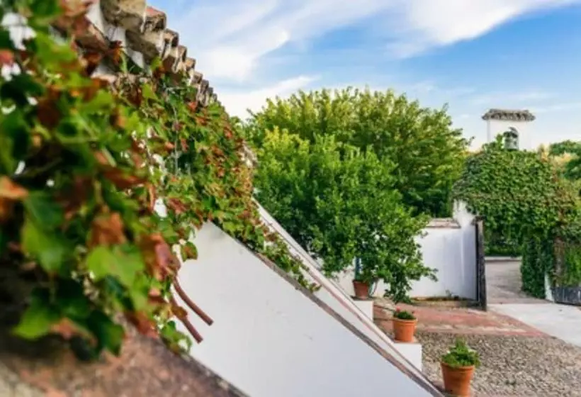 Fotos del hotel Boutique Molino Del Arco:  7