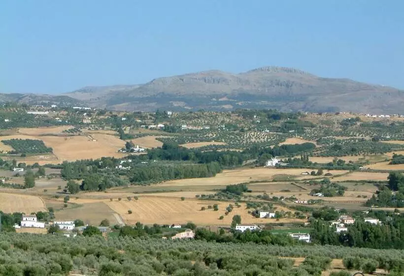 Fotos del hotel Boutique Molino Del Arco:  6