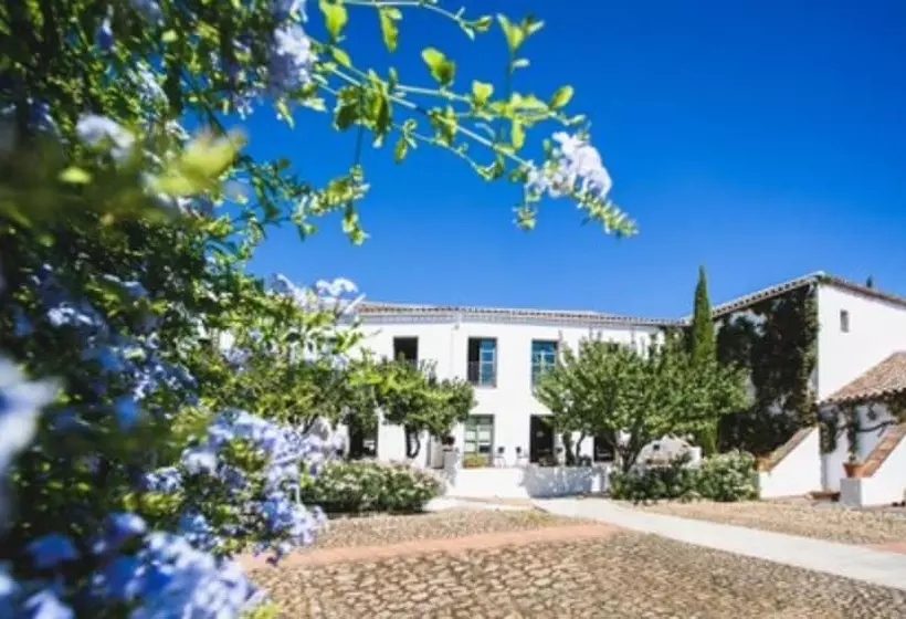 Fotos del hotel Boutique Molino Del Arco:  8