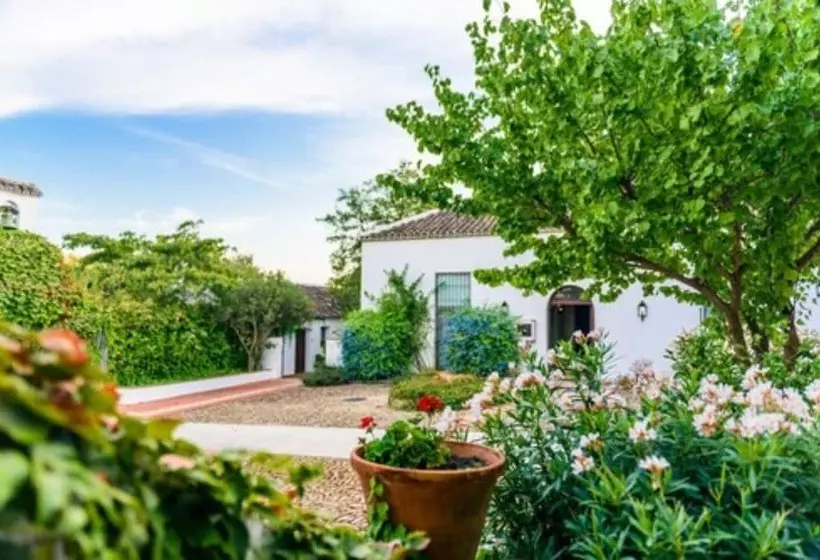 Fotos del hotel Boutique Molino Del Arco:  15