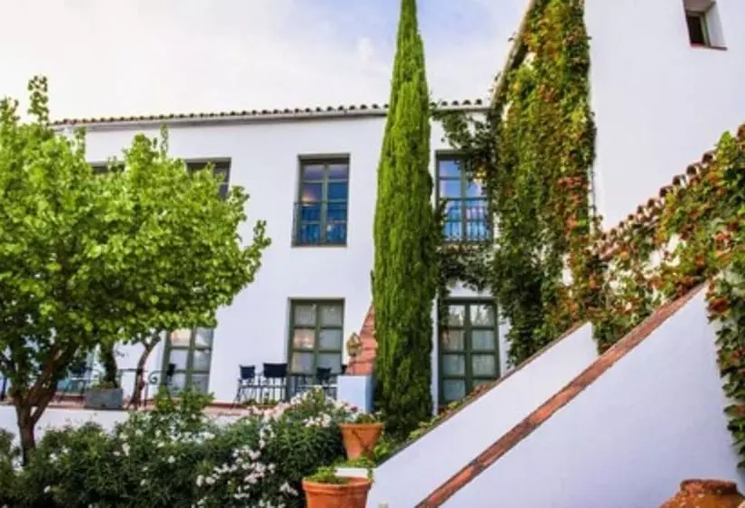 Fotos del hotel Boutique Molino Del Arco:  10