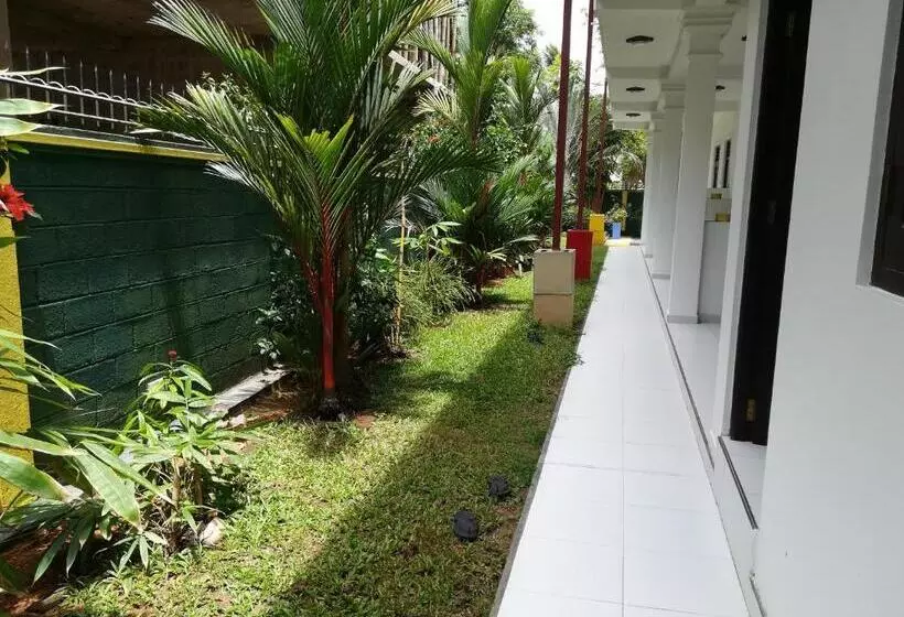 Fotos del hotel Hikka Regent:  22