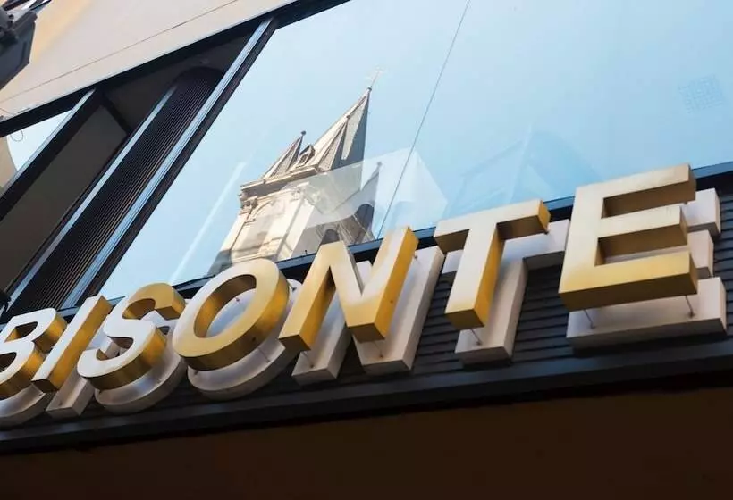 Fotos del hotel Bisonte Libertad:  12