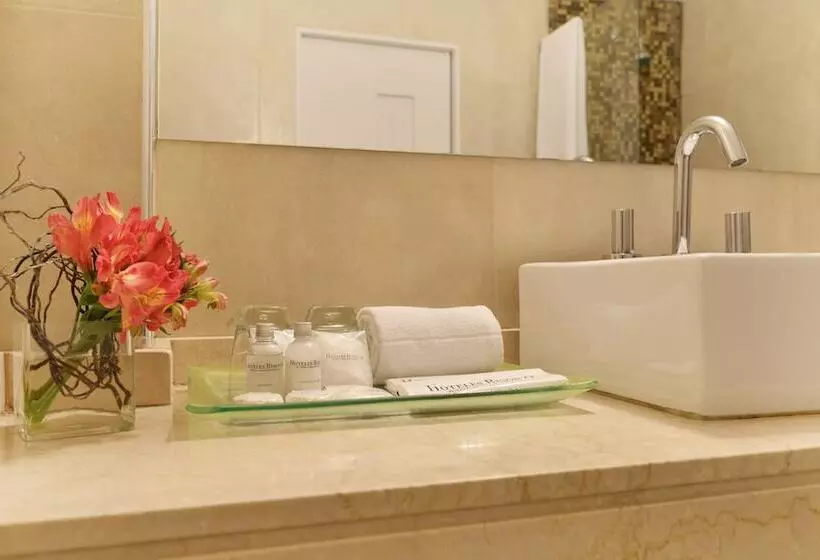 Fotos del hotel Bisonte Libertad:  6