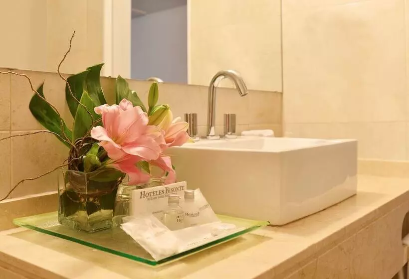 Fotos del hotel Bisonte Libertad:  11