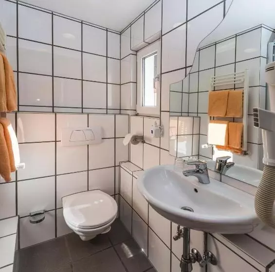 Fotos del hotel Breslauer Hof Am Dom:  5