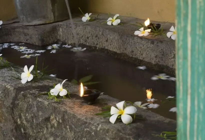 Fotos del hotel Jetwing Ayurveda Pavilions - Full Board & Treatments:  10