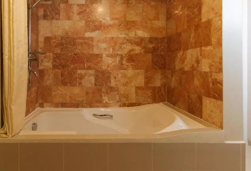 Fotos del hotel Somerset Olympia Makati:  7