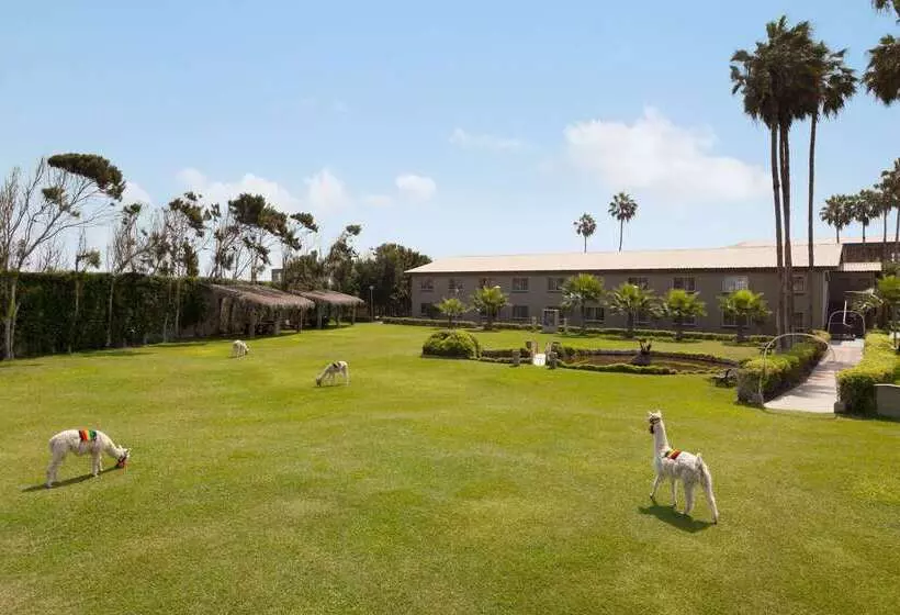 Fotos del hotel Costa Del Sol Wyndham Trujillo:  9