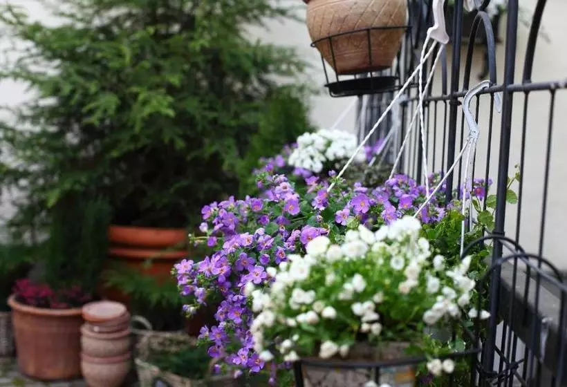 Fotos del hotel The Three Sisters:  6