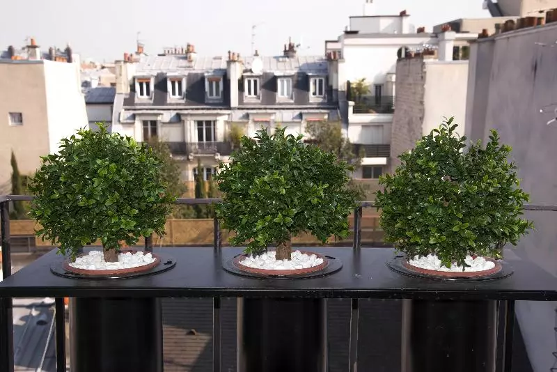 Fotos del hotel Tilsitt Etoile:  13