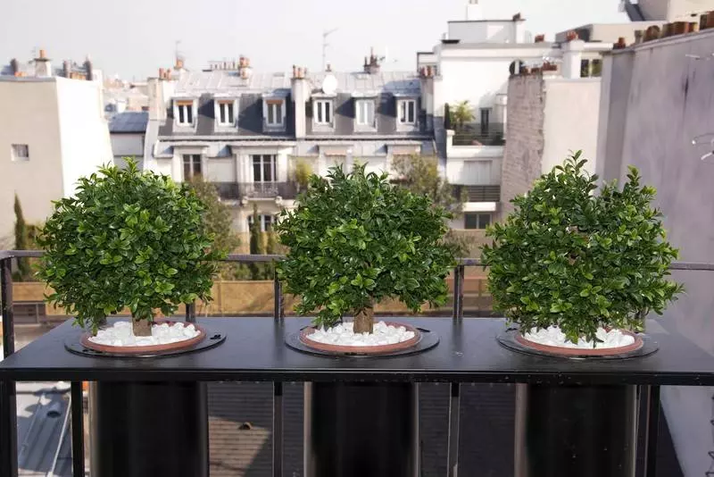 Fotos del hotel Tilsitt Etoile:  10