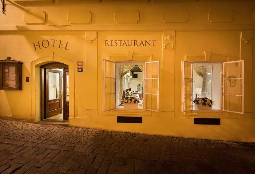 Fotos del hotel Boutique Hotel Constans:  14