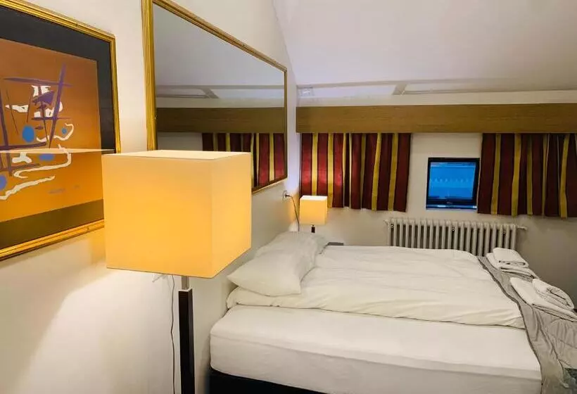 Fotos del hotel Reykjavik Downtown:  7