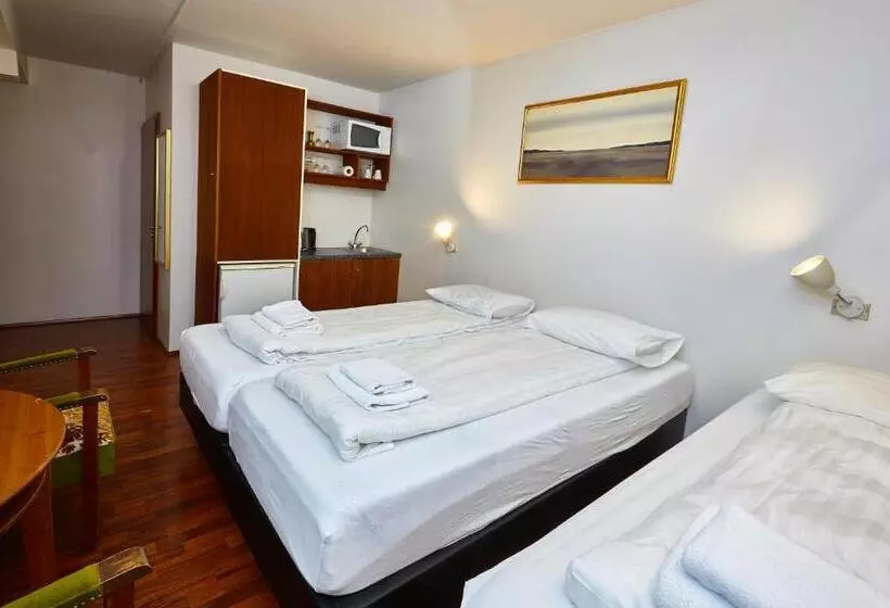 Fotos del hotel Reykjavik Downtown:  14