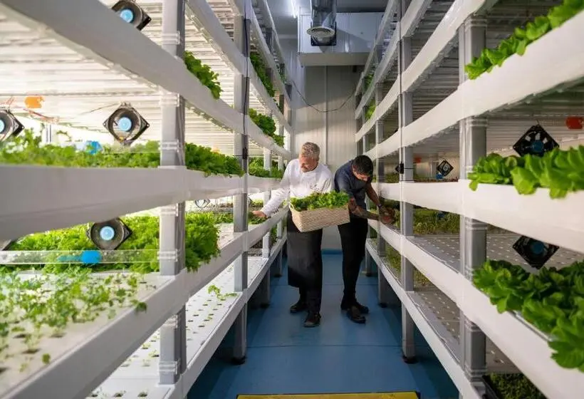 Fotos del hotel The Ritz-carlton, Dubai:  7