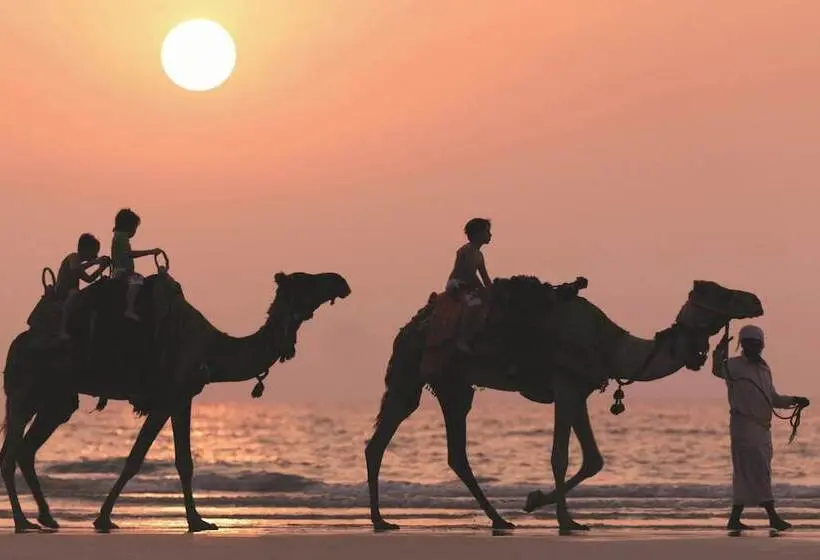 Fotos del hotel The Ritz-carlton, Dubai:  48