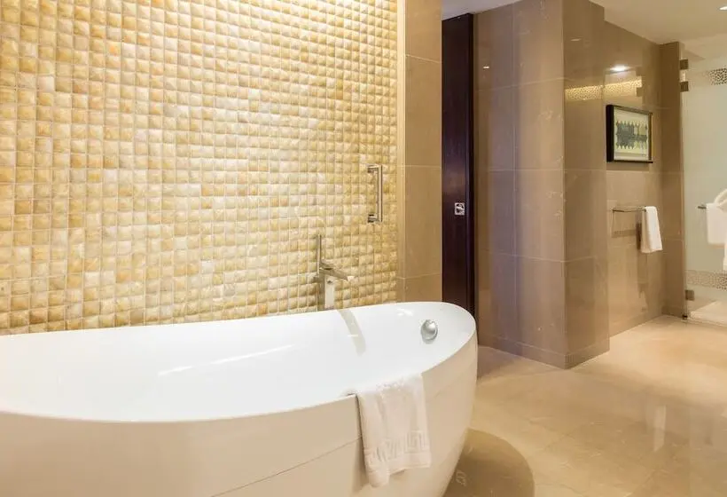Fotos del hotel The Ritz-carlton, Dubai:  71
