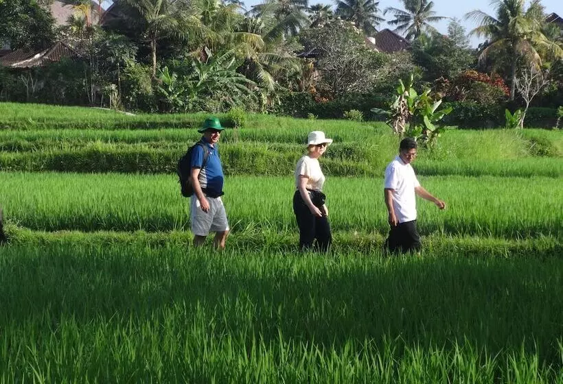 Fotos del hotel The Sungu Resort & Spa:  15