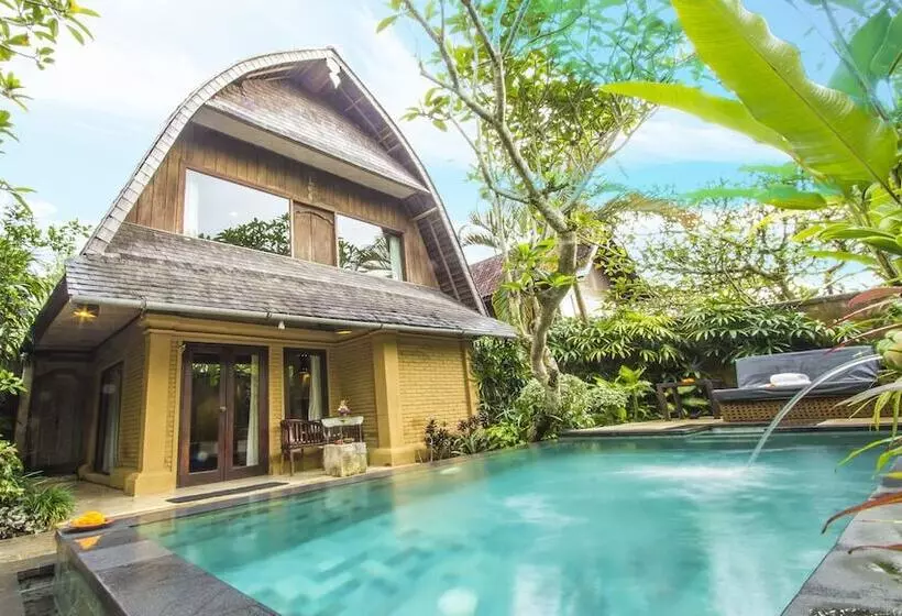 Fotos del hotel The Sungu Resort & Spa:  2