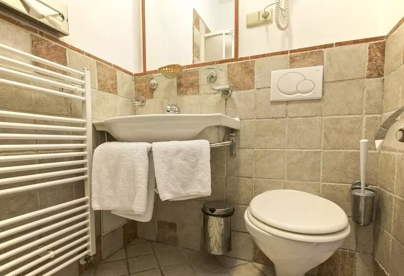 Fotos del hotel Tivoli Prague:  14