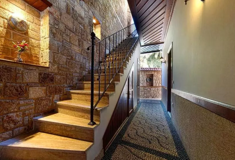 Fotos del hotel Minyon:  10