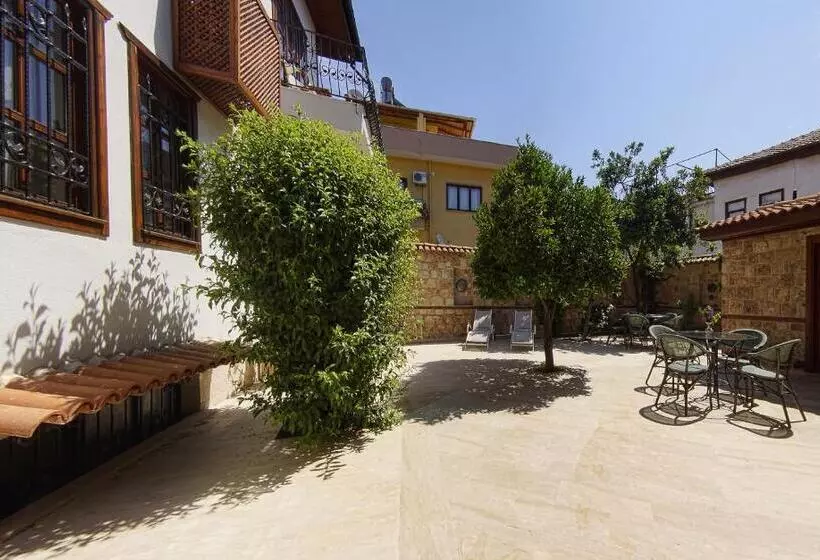 Fotos del hotel Minyon:  19