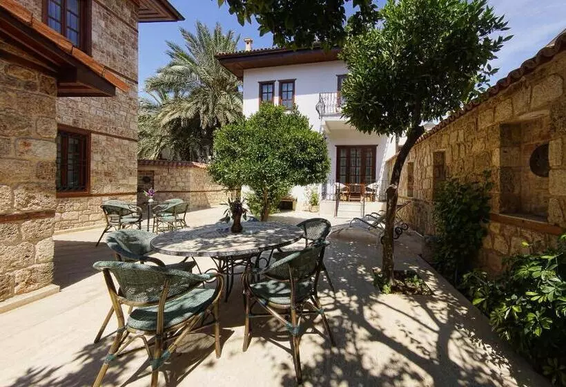 Fotos del hotel Minyon:  5