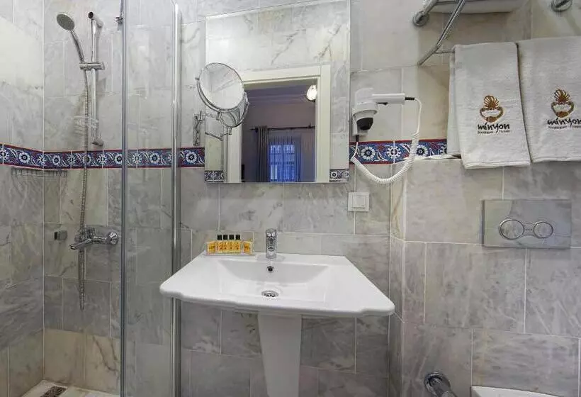 Fotos del hotel Minyon:  20