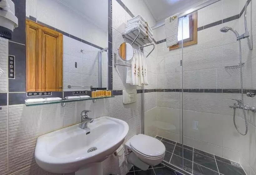 Fotos del hotel Minyon:  16