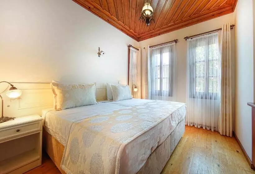 Fotos del hotel Minyon:  24