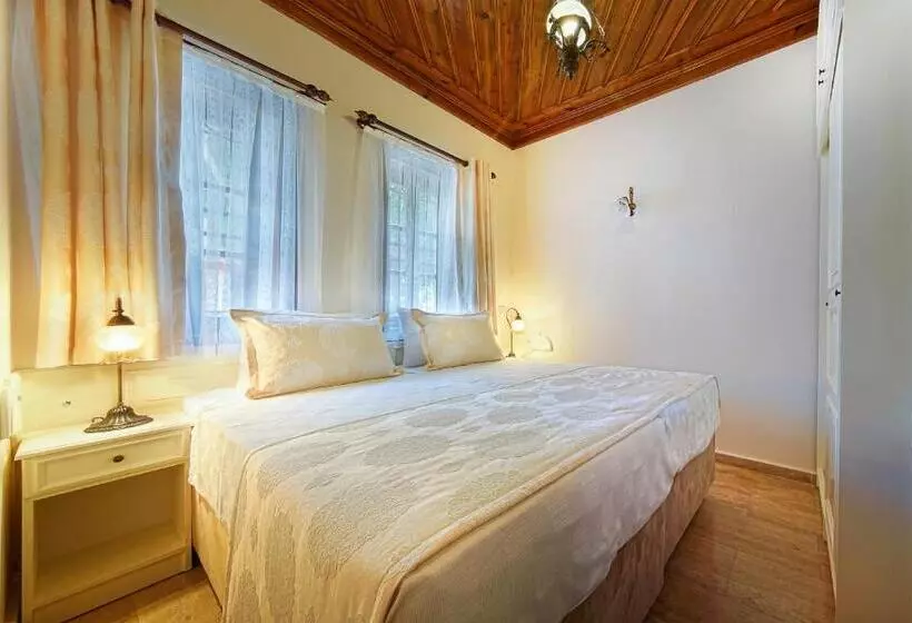 Fotos del hotel Minyon:  18