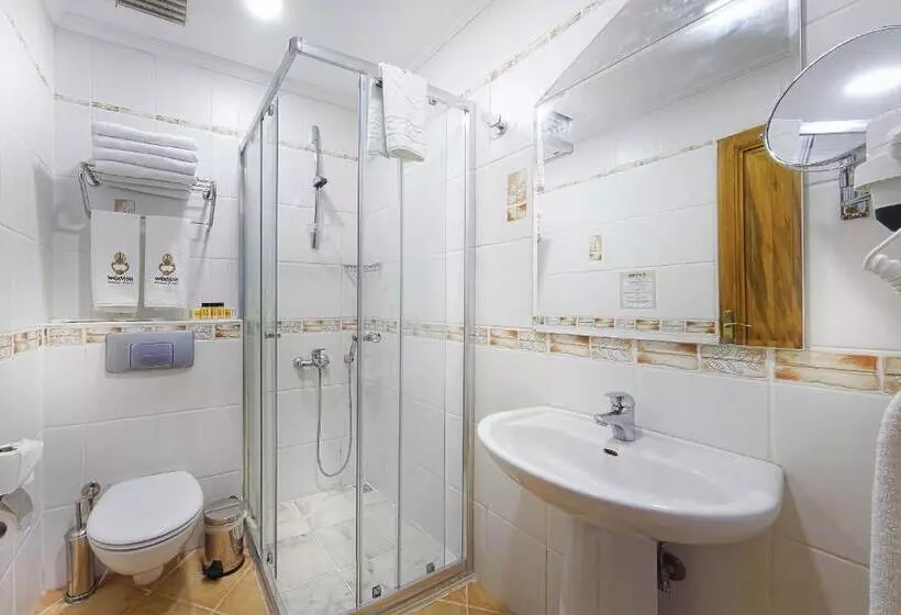 Fotos del hotel Minyon:  7