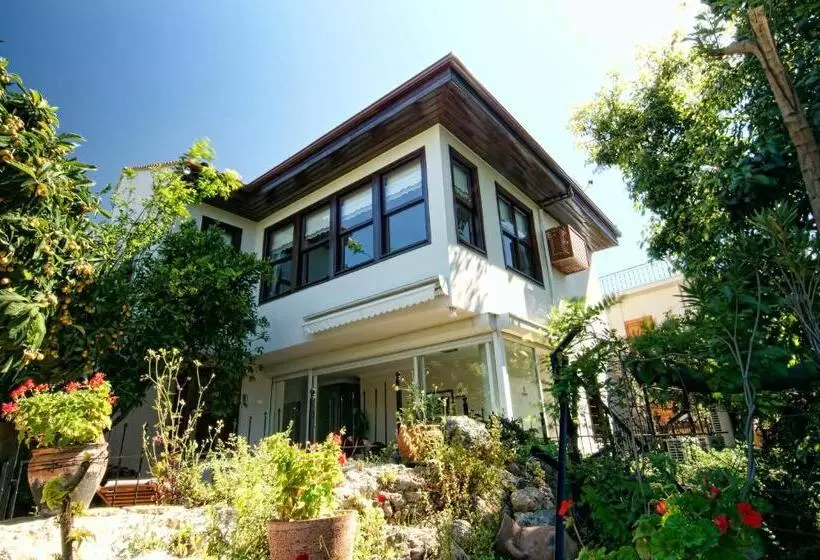 Fotos del hotel Minyon:  8