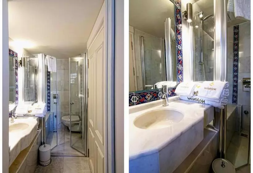 Fotos del hotel Minyon:  12