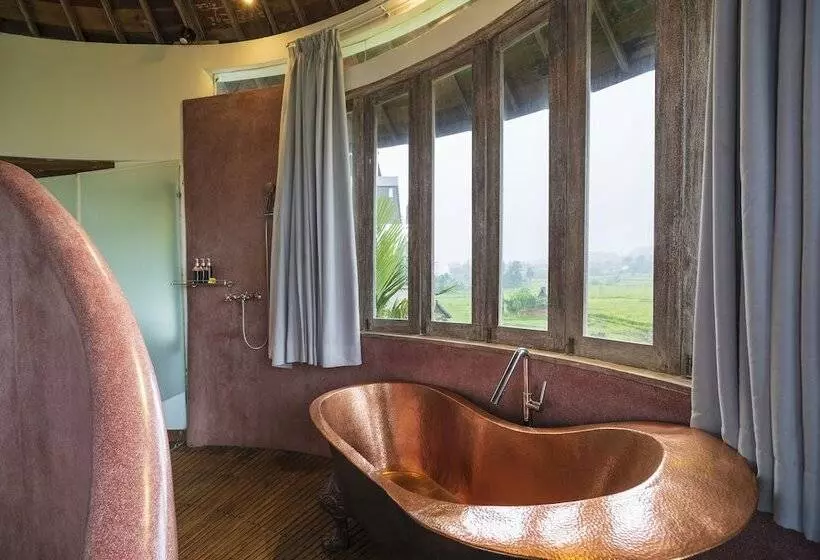 Fotos del hotel Amatara Arya Ubud:  25
