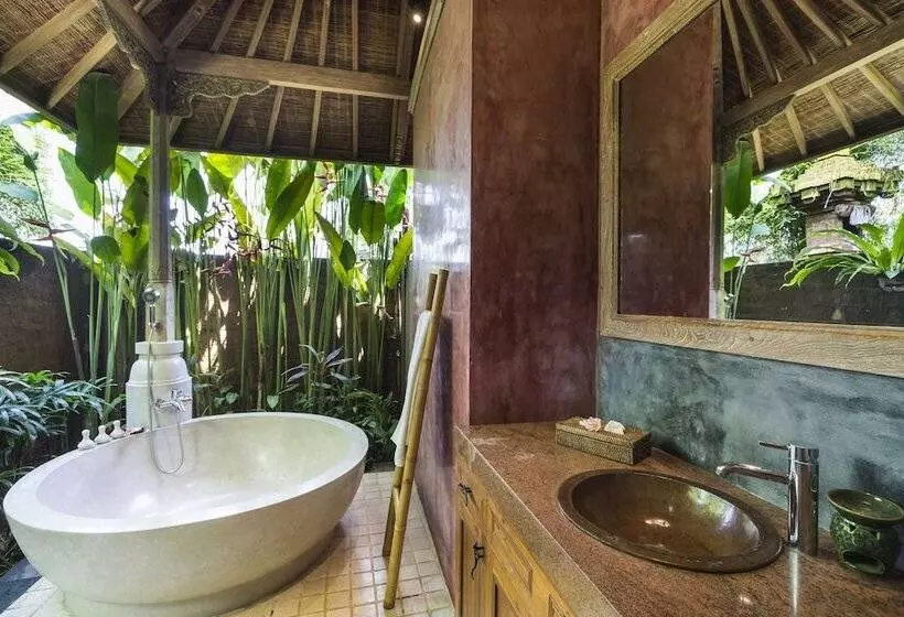 Fotos del hotel Amatara Arya Ubud:  10