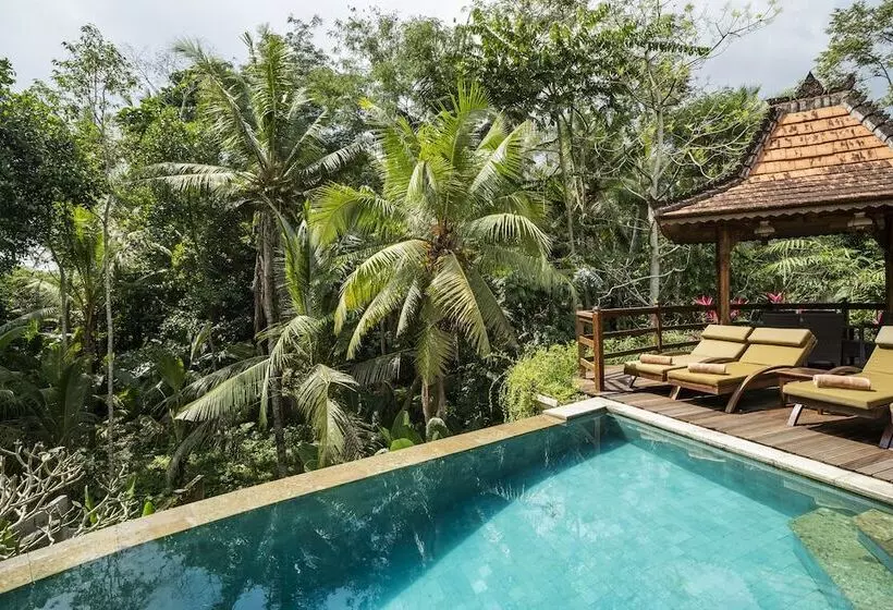 Fotos del hotel Amatara Arya Ubud:  2