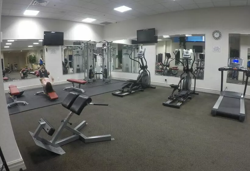 Fotos del hotel Grand Hotel & Suites:  13