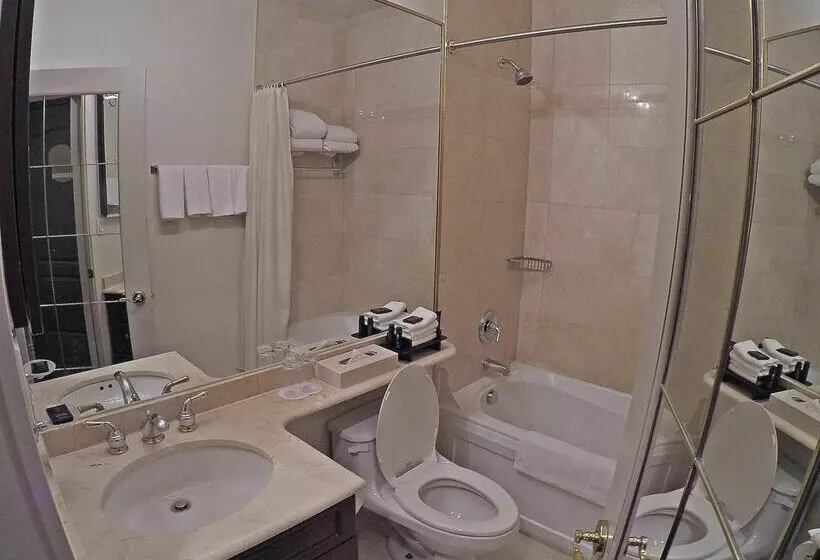 Fotos del hotel Grand Hotel & Suites:  8