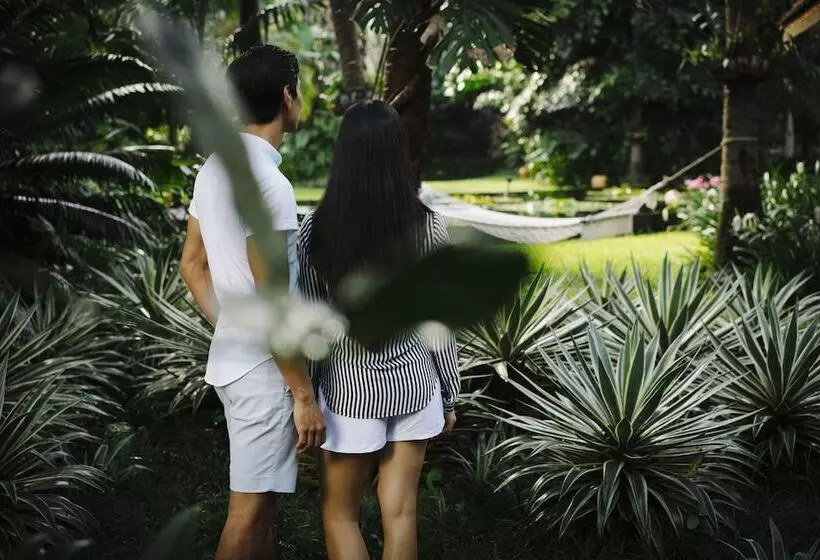 Fotos del hotel Anantara Bophut Koh Samui Resort:  42