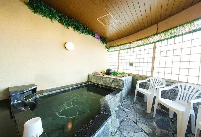 Fotos del hotel Apa  Osakatemma:  15