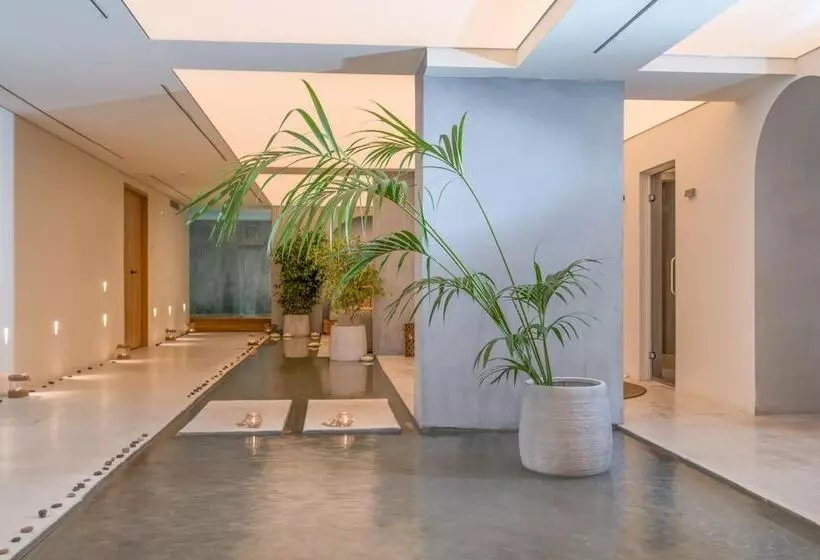 Fotos del hotel Caravel Suites  Adults Only:  11