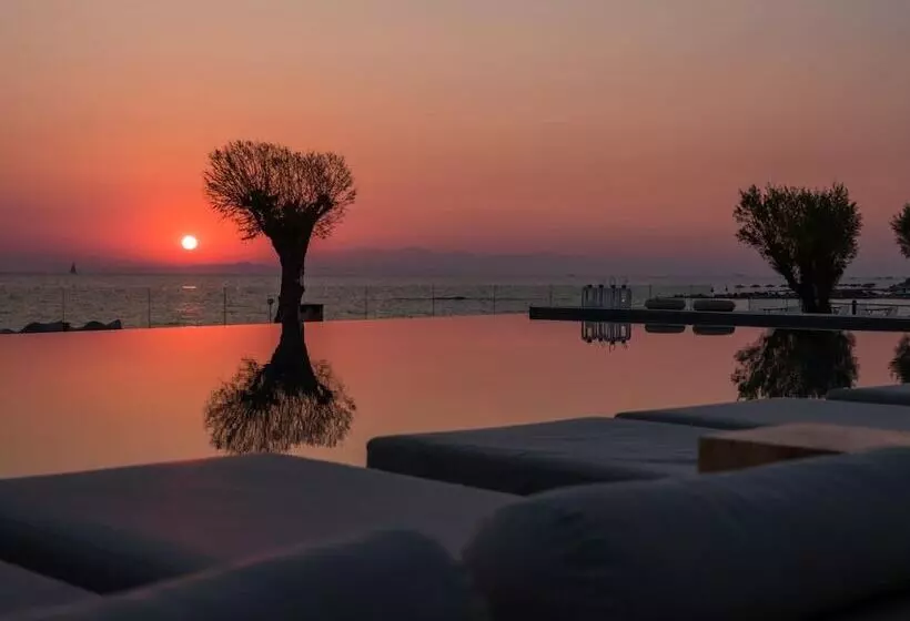 Fotos del hotel Caravel Suites  Adults Only:  16