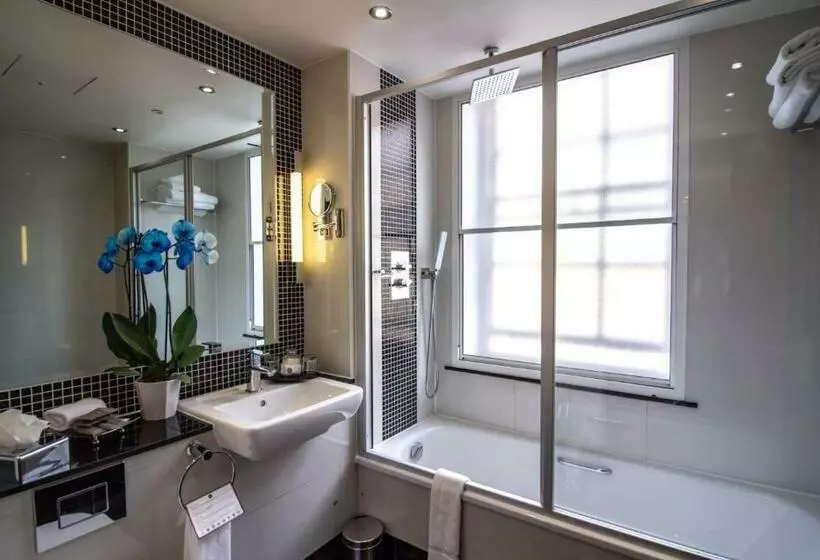 Fotos del hotel Wellington Hotel By Blue Orchid:  11