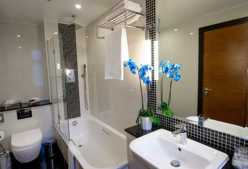 Fotos del hotel Wellington Hotel By Blue Orchid:  12