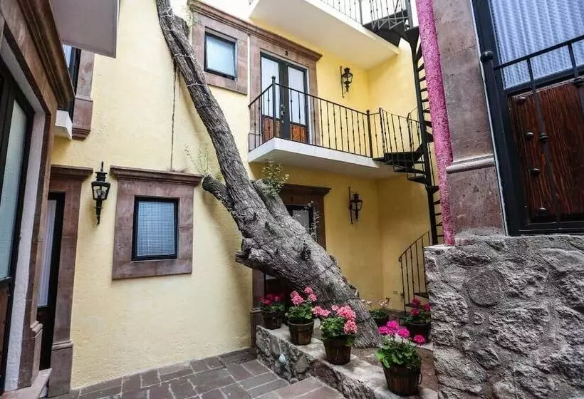 Fotos del hotel El Meson Del Quijote:  14